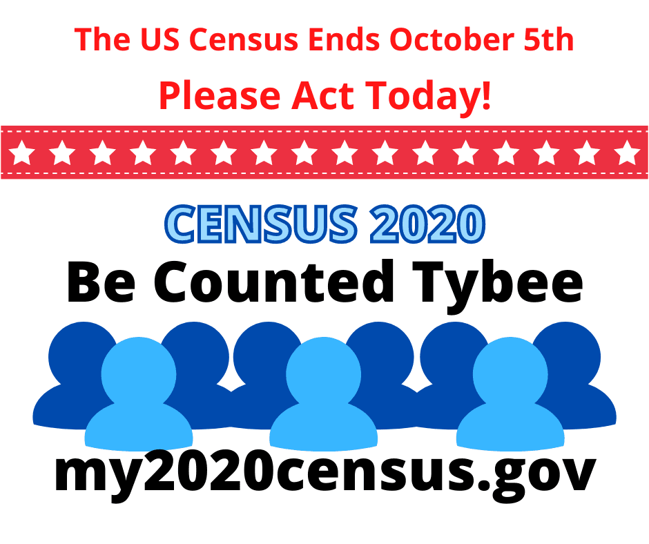 Copy of Census Banner 