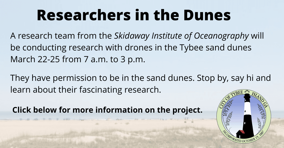 Drone Dune Monitoring 